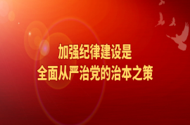 學(xué)習(xí)貫徹《中國共產(chǎn)黨紀(jì)律處分條例》（二）