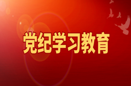 科瑞黨建 | 聽總書記談黨的紀(jì)律建設(shè)（一）